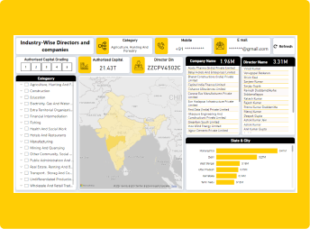 Industry Wise Directors and Companies